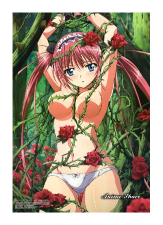 Hentai anime girl wallpaper-porno photo